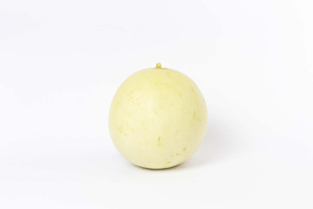 Melón Valenciano (Pieza) Pedidos Versel